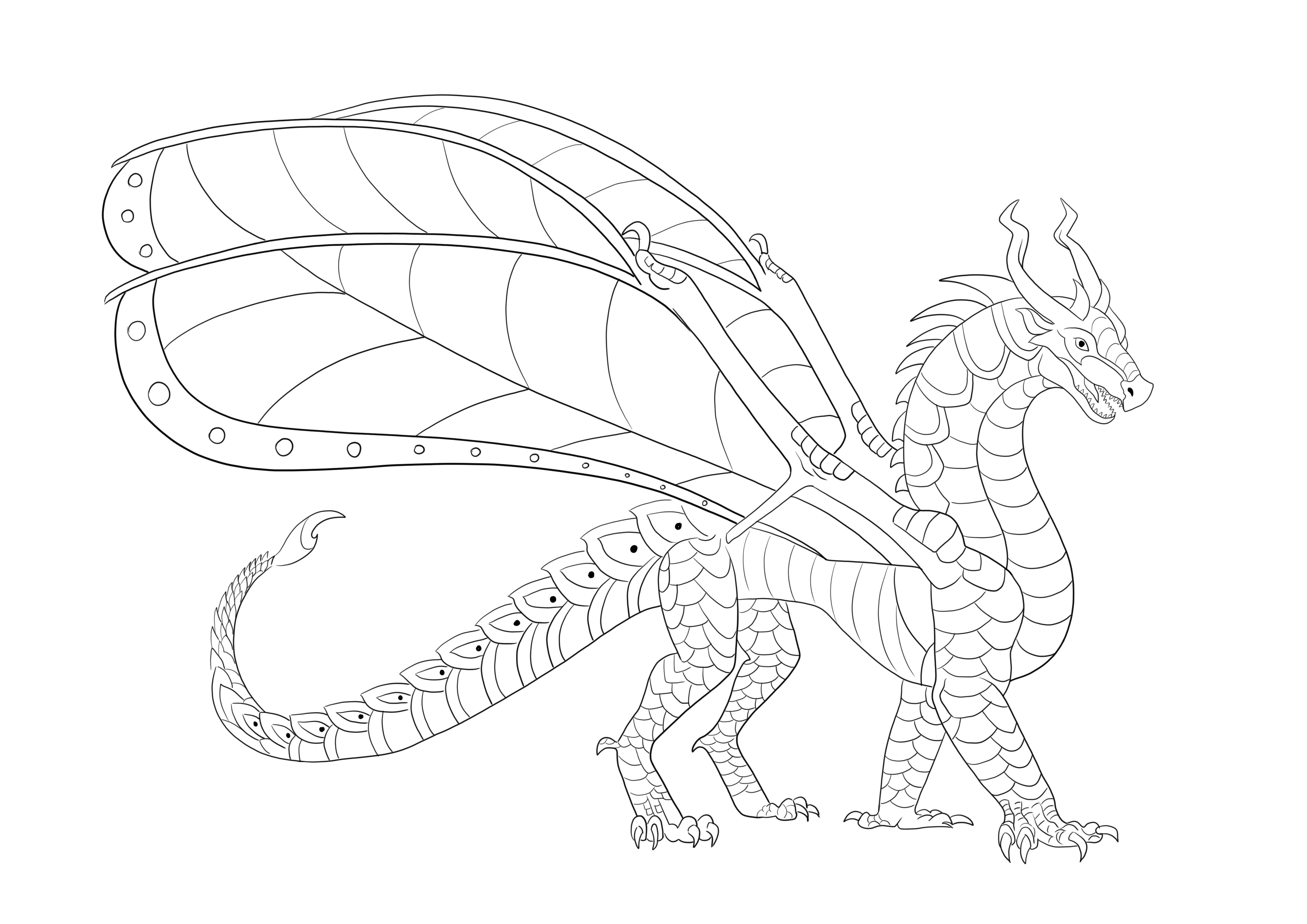 Hawkwing dragon free download or print for coloring