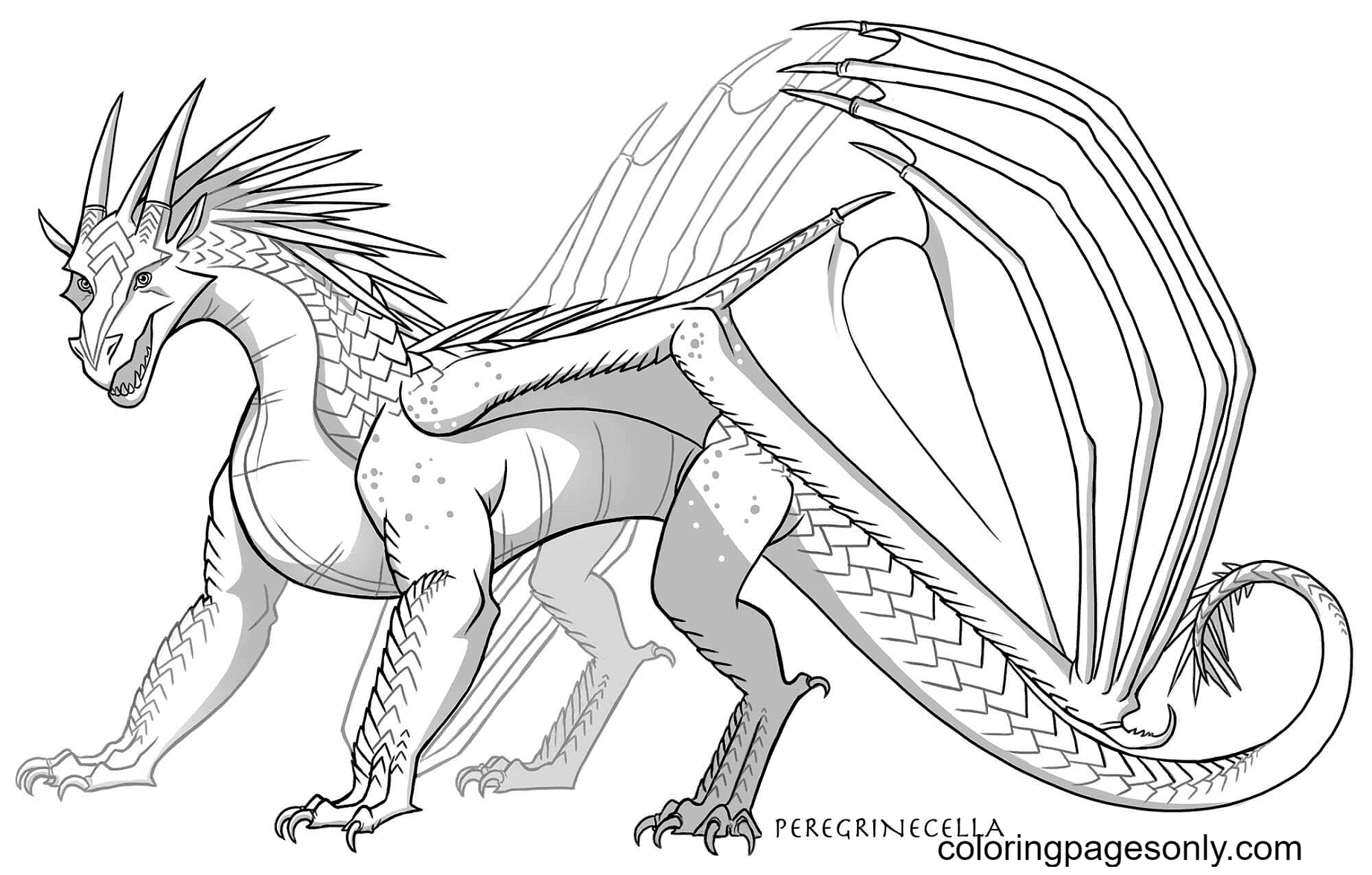 Wings of fire nightwing dragon coloring page