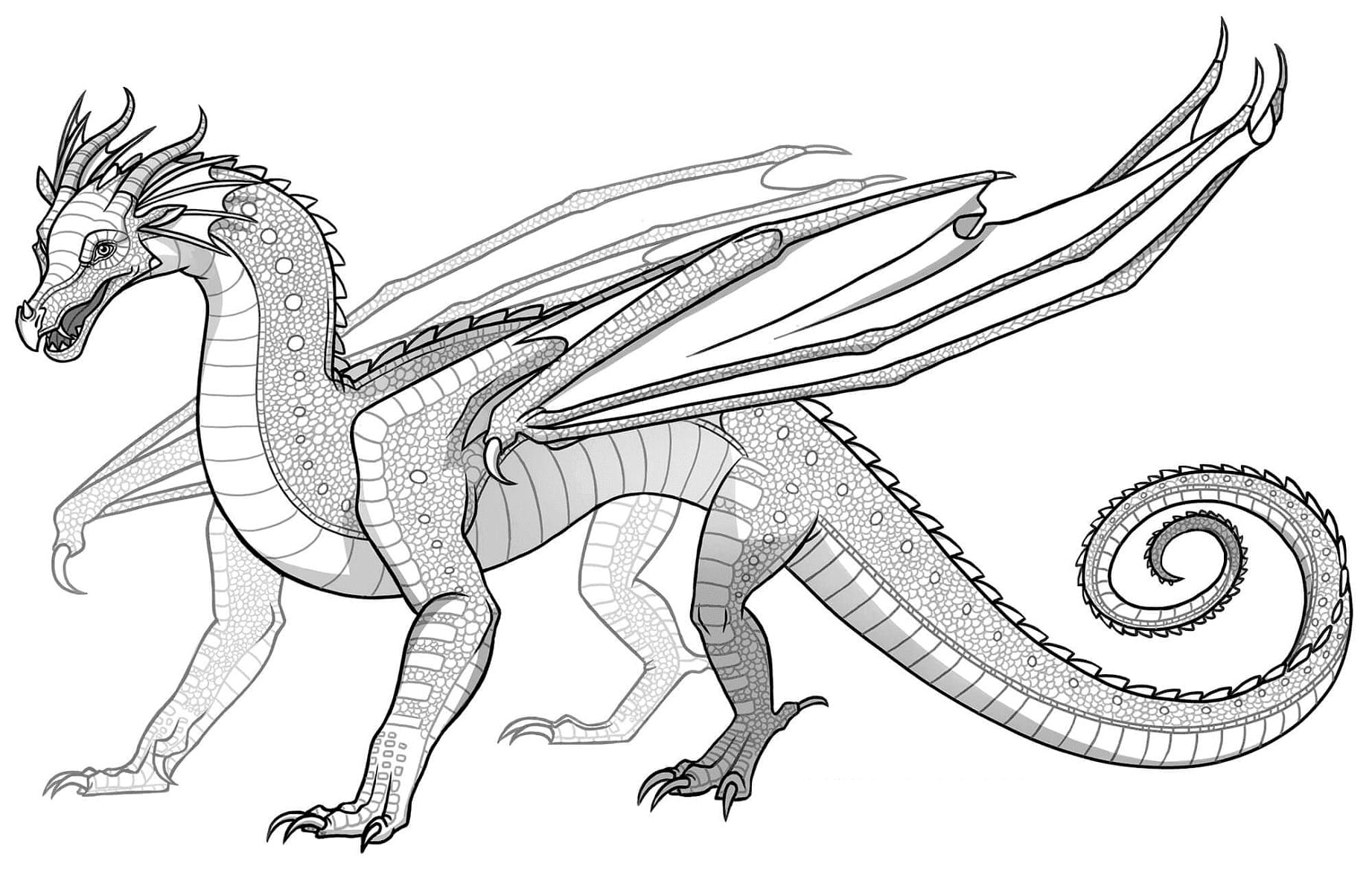 Wings of fire coloring pages