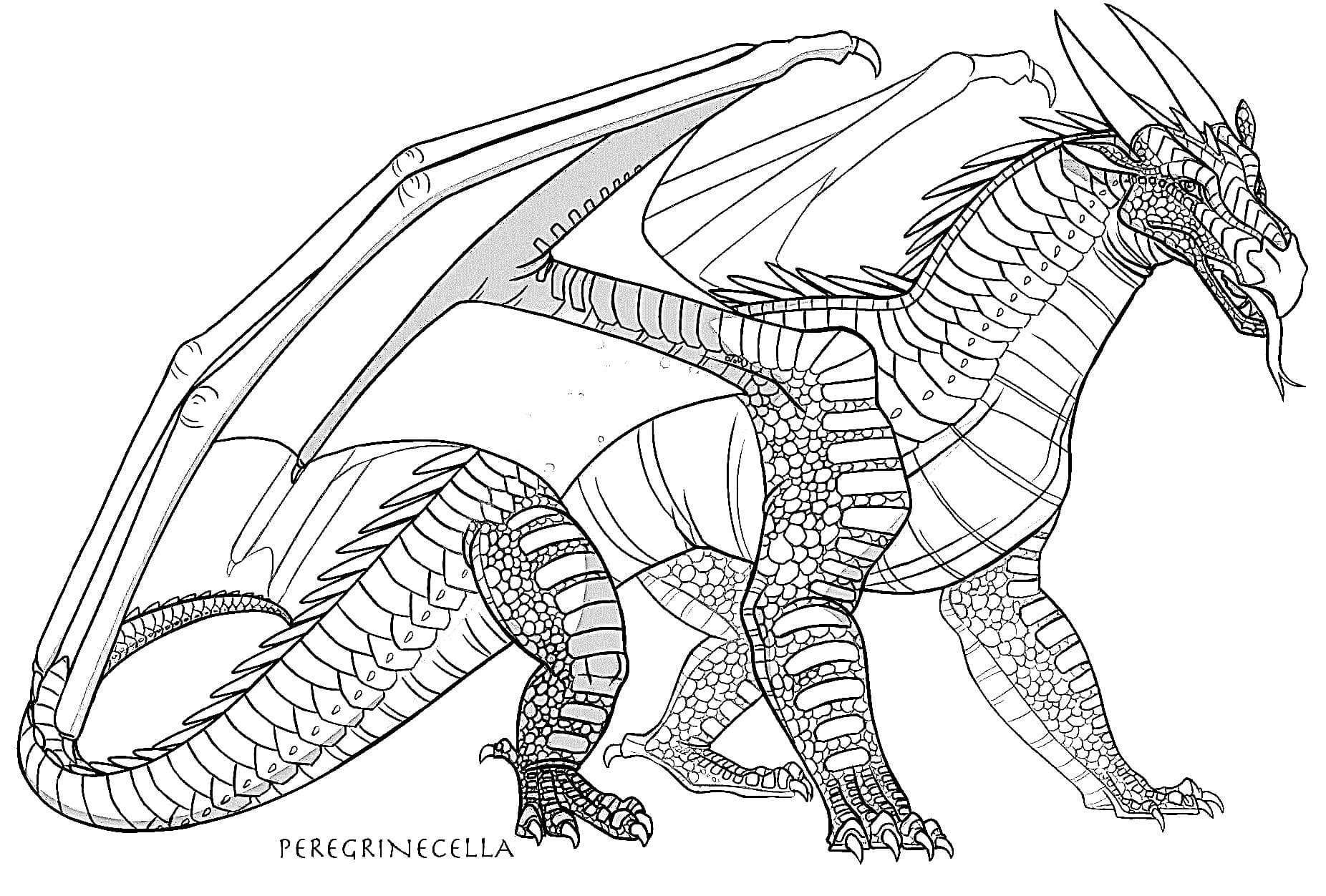 Nightwing dragon wings of fire coloring page