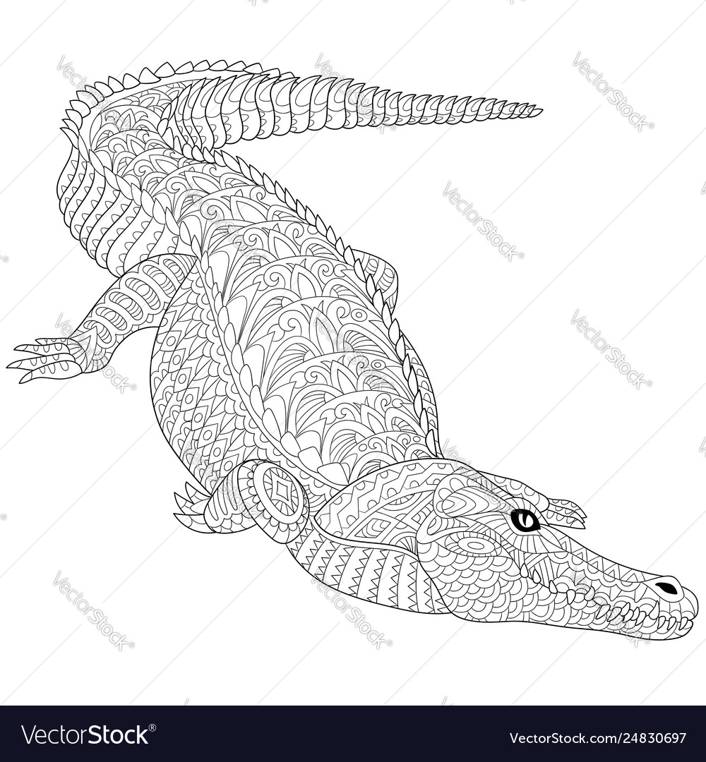 Alligator crocodile adult coloring page royalty free vector