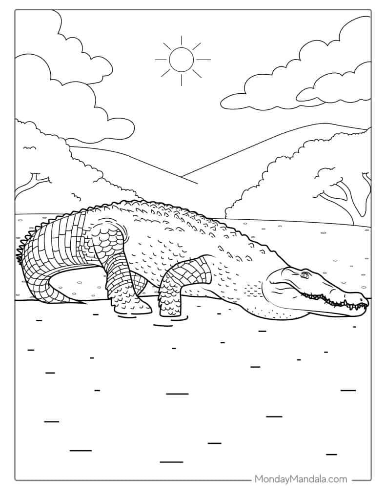 Crocodile coloring pages free pdf printables