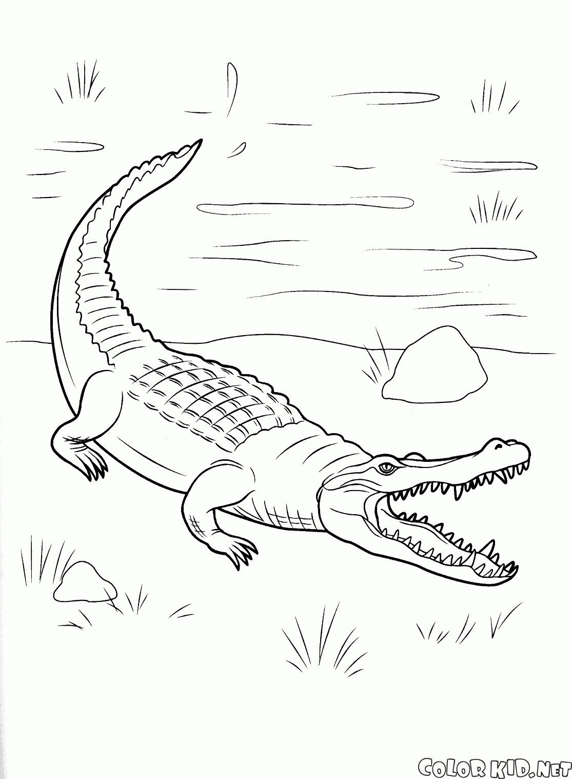 Coloring page