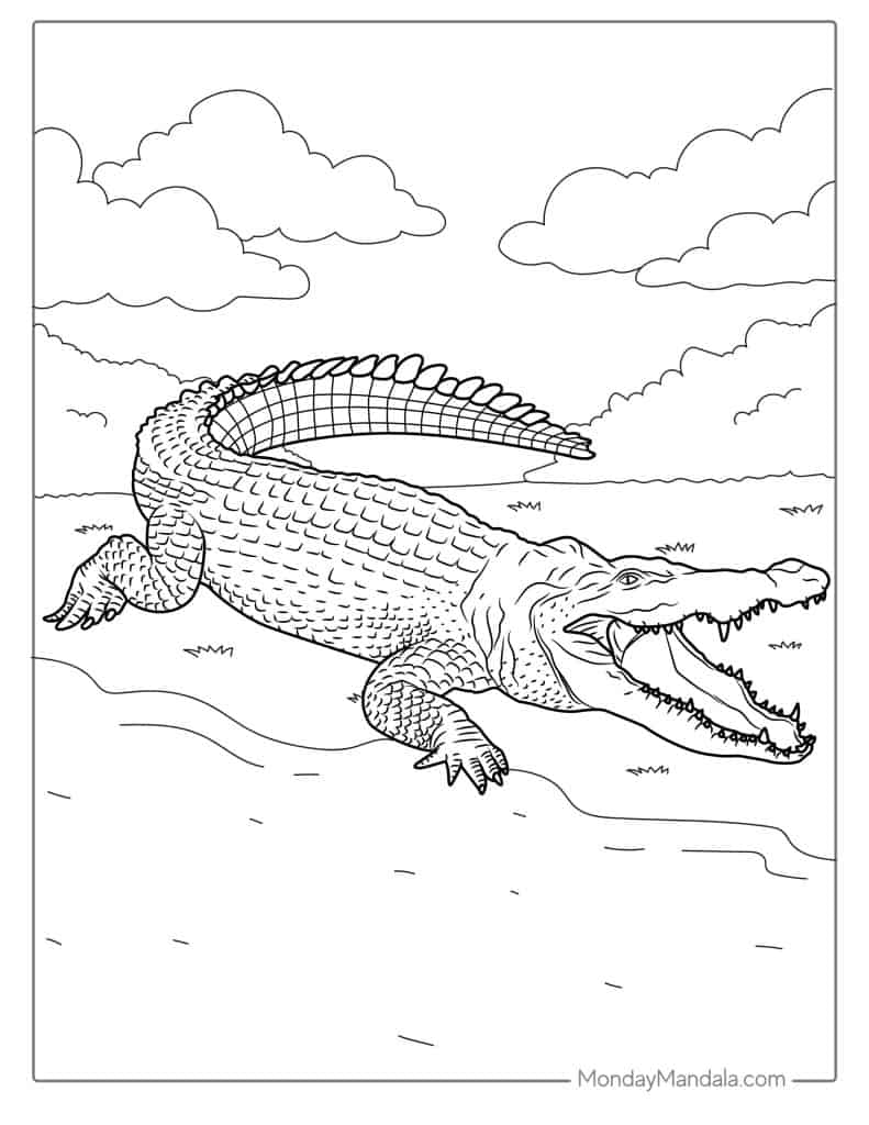 Crocodile coloring pages free pdf printables