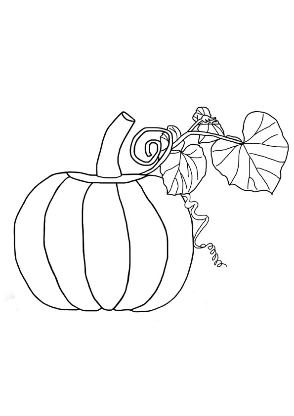 Coloring pages pumpkin with leaf coloring page