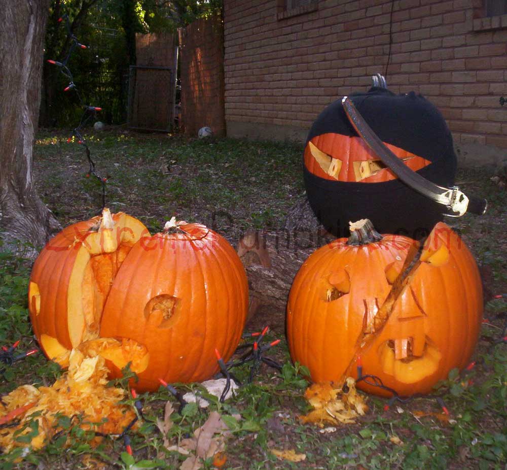 The ninja pumpkin