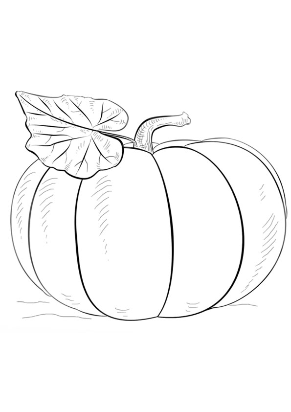 Coloring pages printable pumpkin coloring page