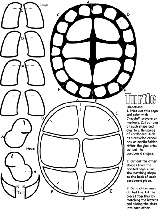 Turtle coloring page