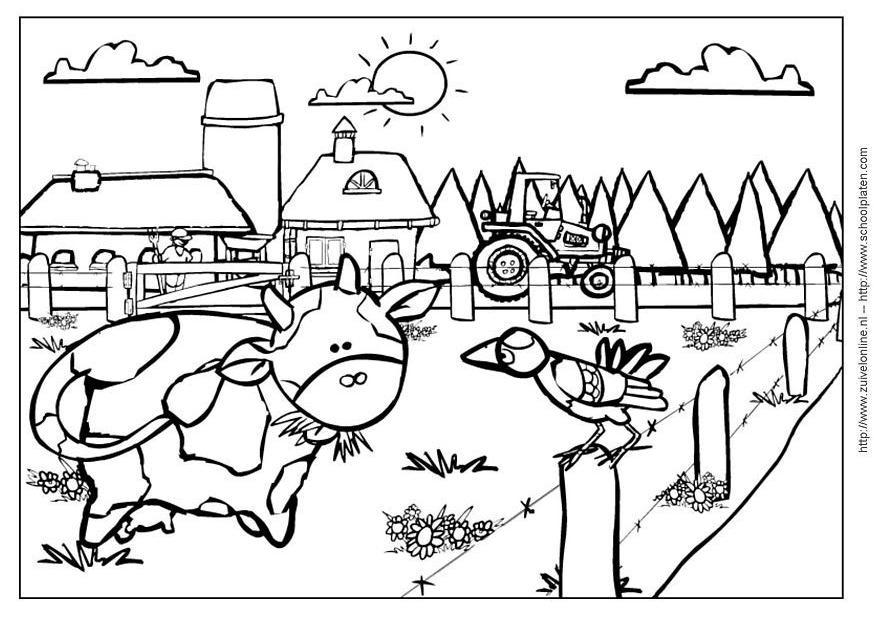 Coloring page cow