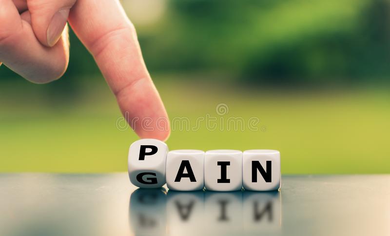 Download Free 100 + no pain no gain pic Wallpapers