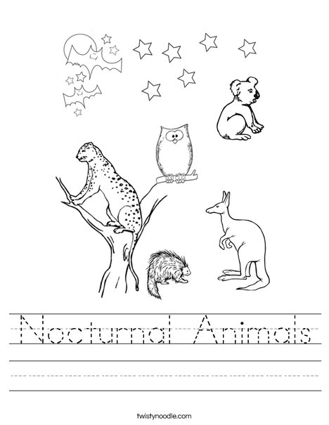 Nocturnal animals worksheet