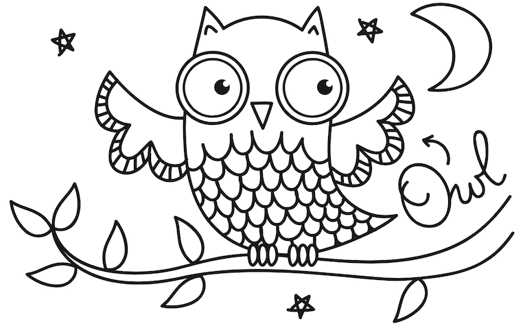 Nocturnal animals learn and create for kids