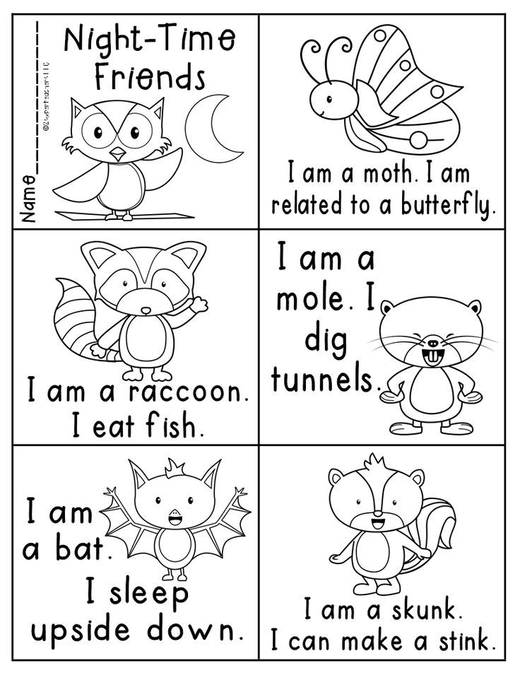 Nocturnal animals colouring sheets nocturnal animals activities nocturnal animals kindergarten forest animals preschool