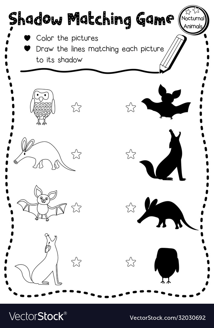 Shadow matching game nocturnal animal coloring vector image