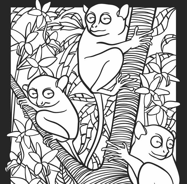 Childhood education nocturnal animals coloring pages free colouring pictures