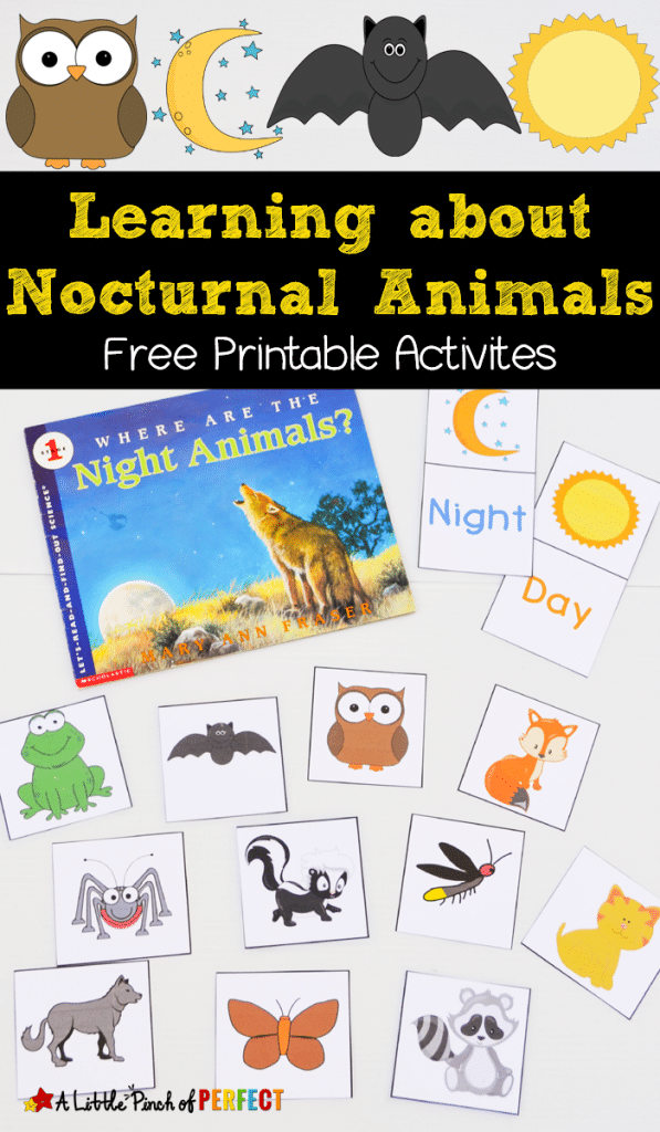 Free nocturnal animals printables