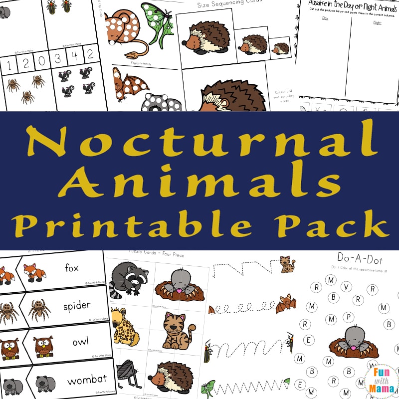 Nocturnal animals for kids