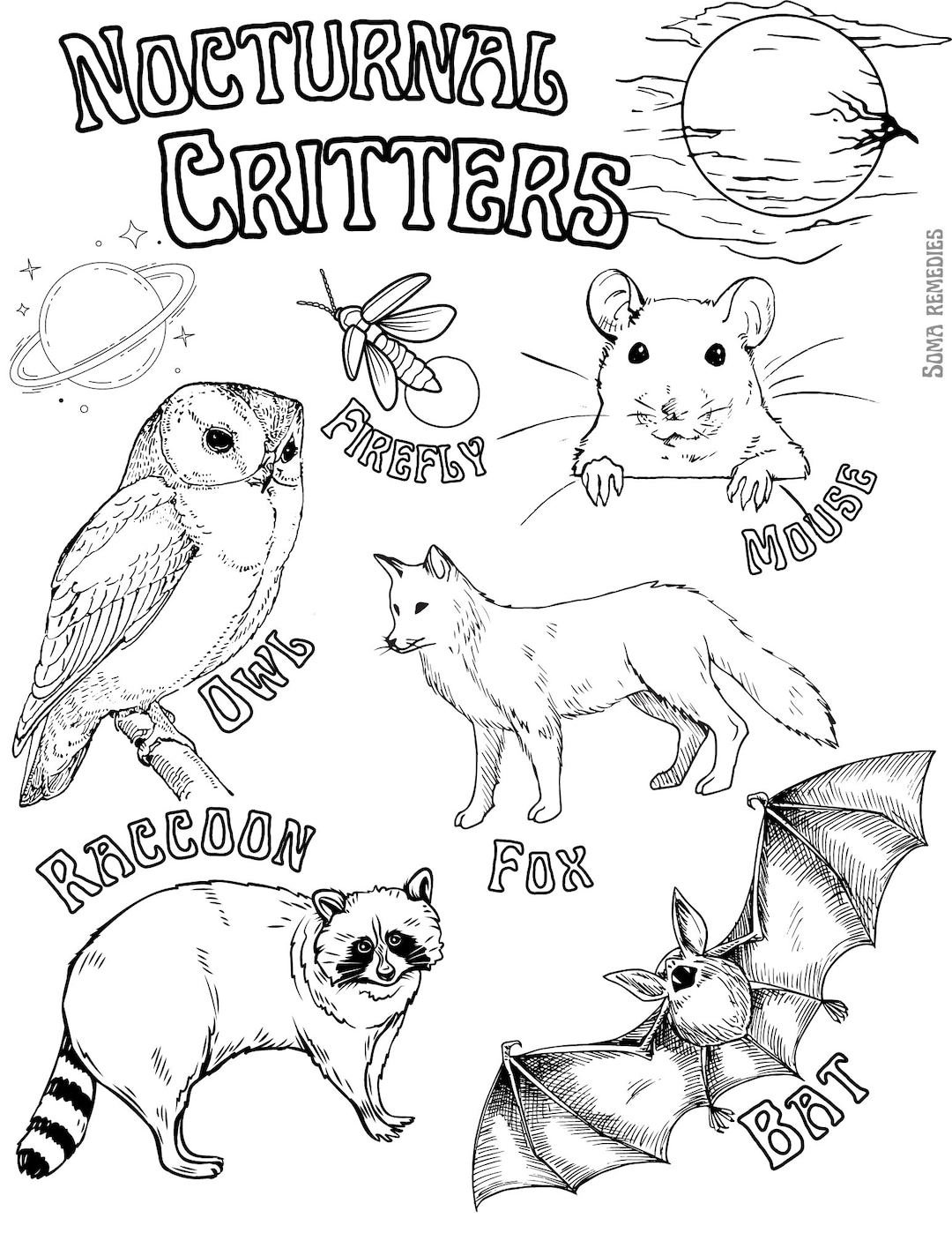 Nocturnal critters coloring page animal and plant coloring page homeschooling backyard natur coloring pages science activities for kids