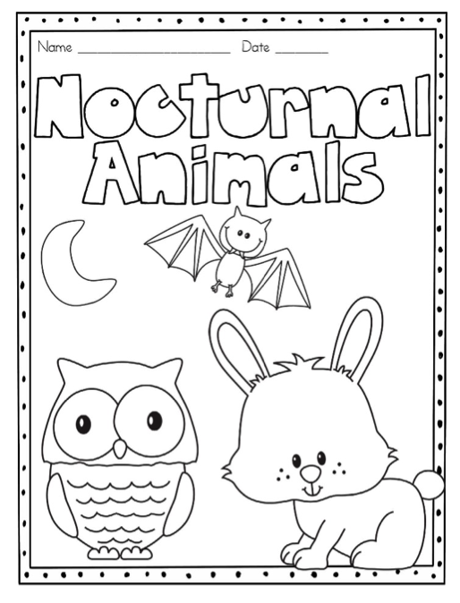 Nocturnal animals nocturnal animals kindergarten nocturnal animals nocturnal animals activities