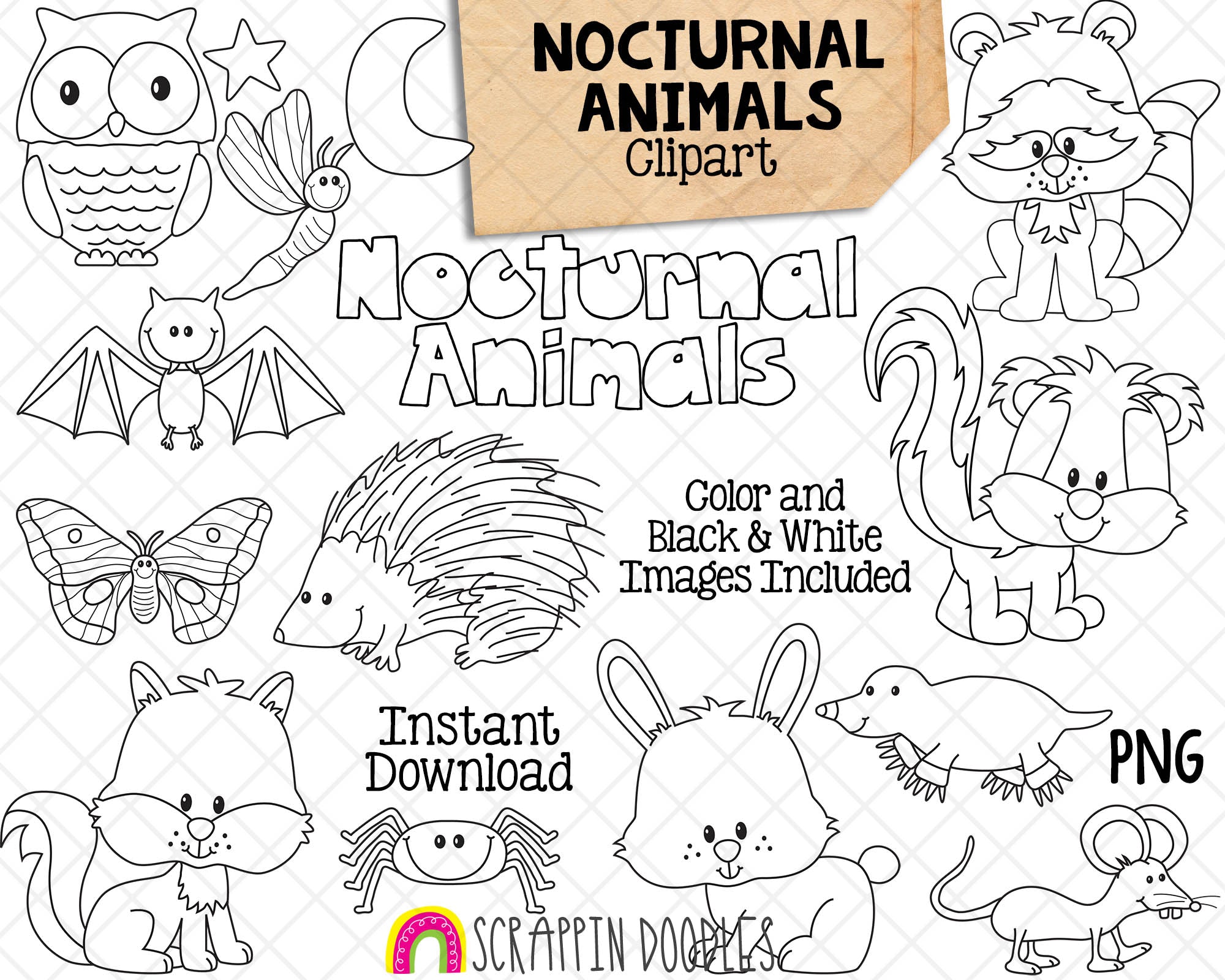 Nocturnal animals clipart