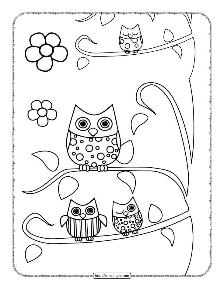 Printable owls on the branch coloring page owl coloring pages bird coloring pages coloring pages