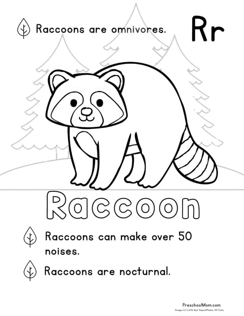 Forest animal coloring pages