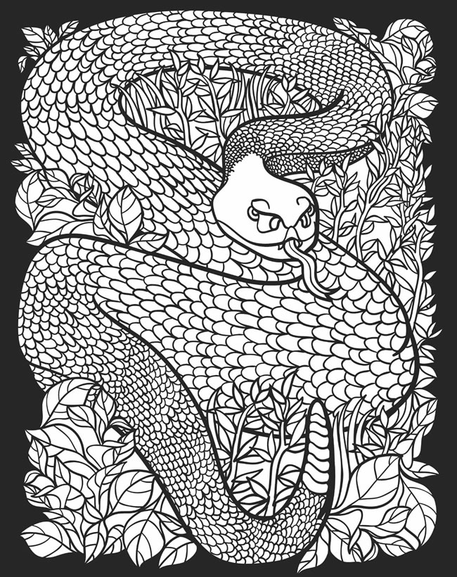 Childhood education nocturnal animals coloring pages free colouring pictures