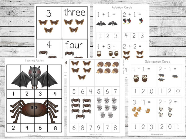 Ððð free printable nocturnal animals worksheets