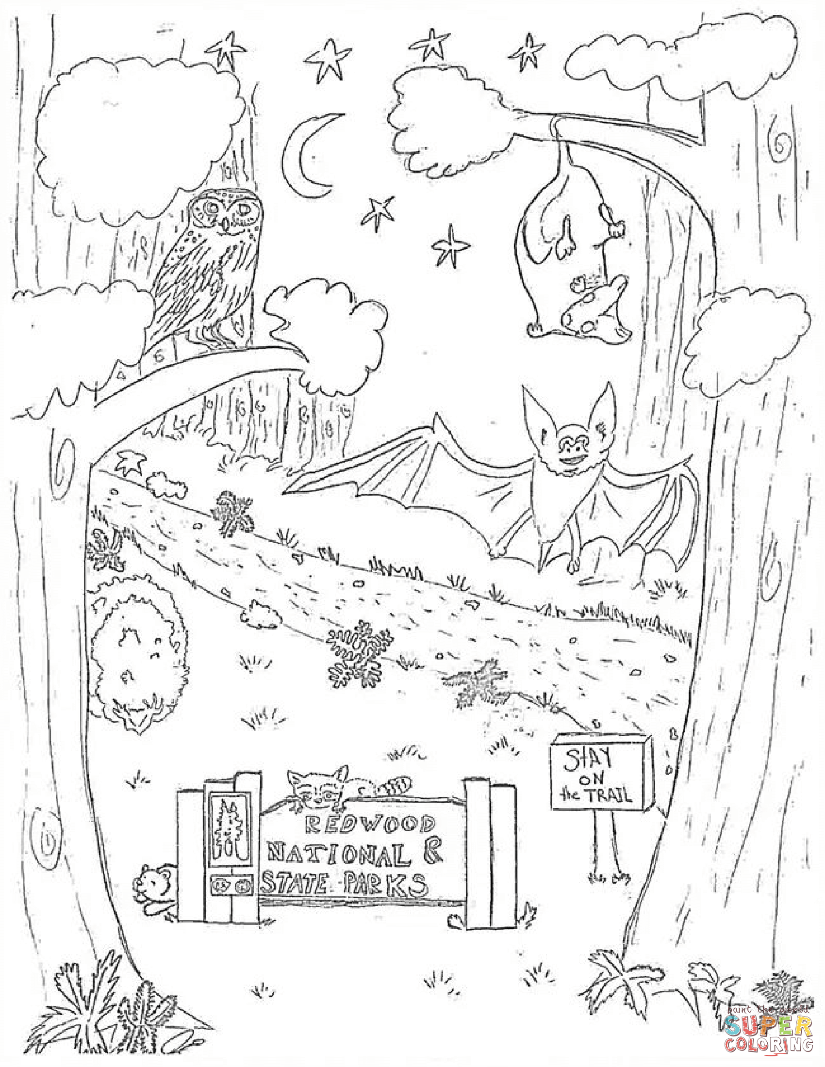 Nocturnal animals coloring page free printable coloring pages