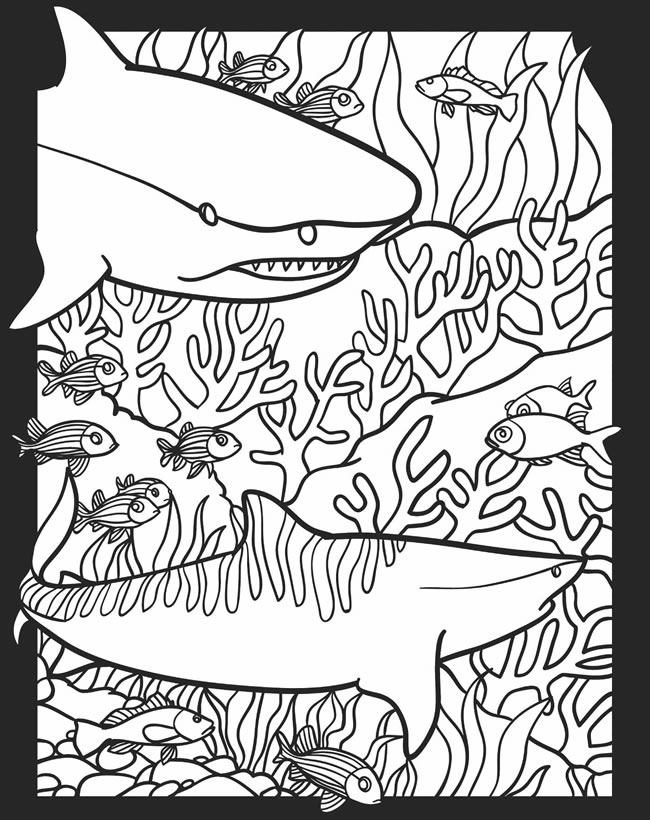 Childhood education nocturnal animals coloring pages free colouring pictures