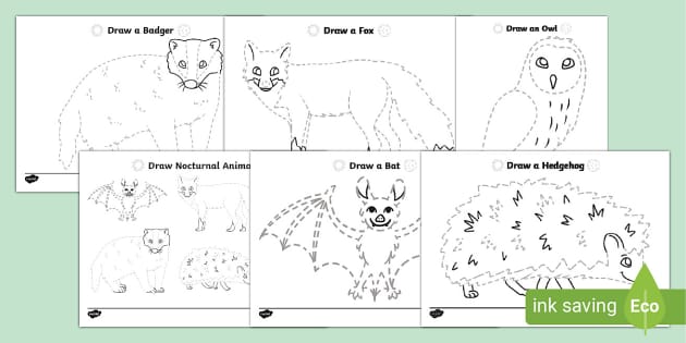 Eyfs draw a nocturnal animal pencil ntrol activity pack