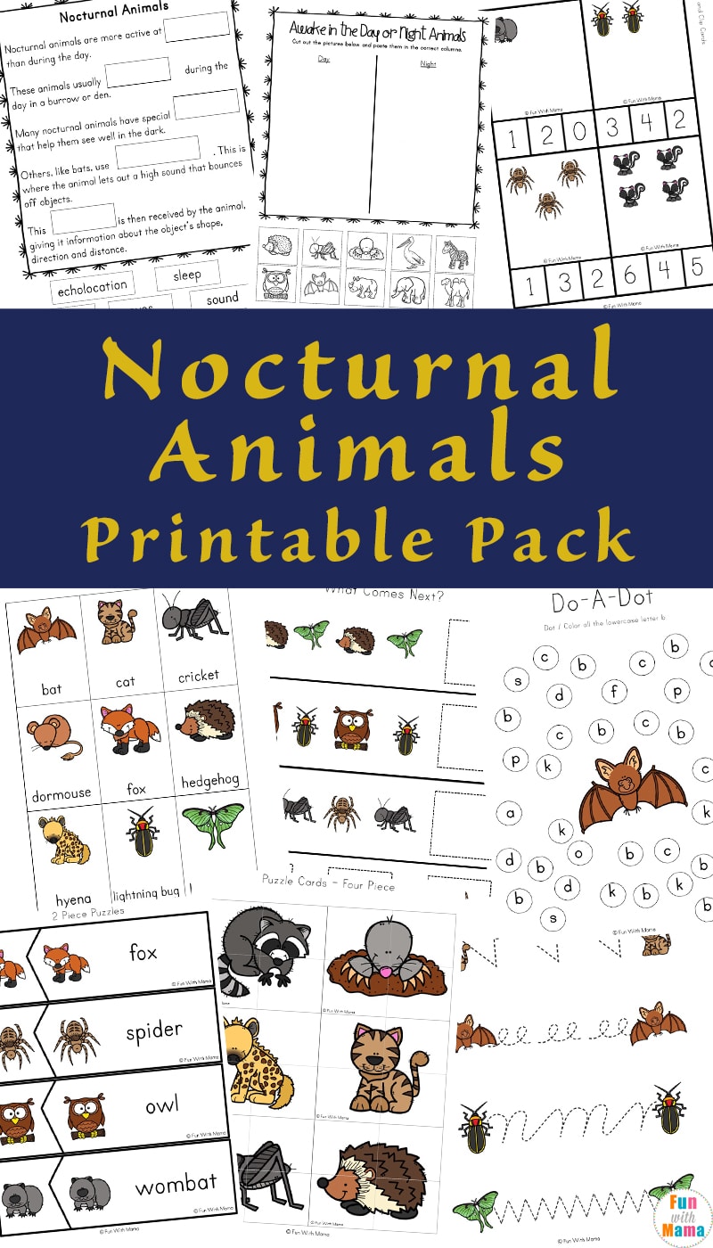 Nocturnal animals for kids