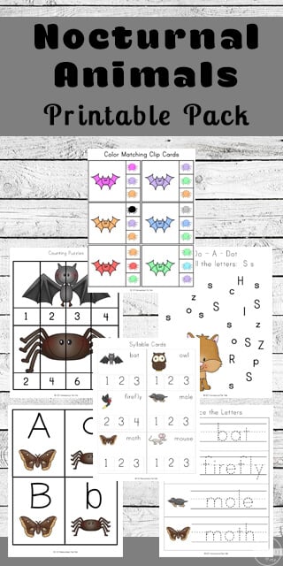 Ððð free printable nocturnal animals worksheets