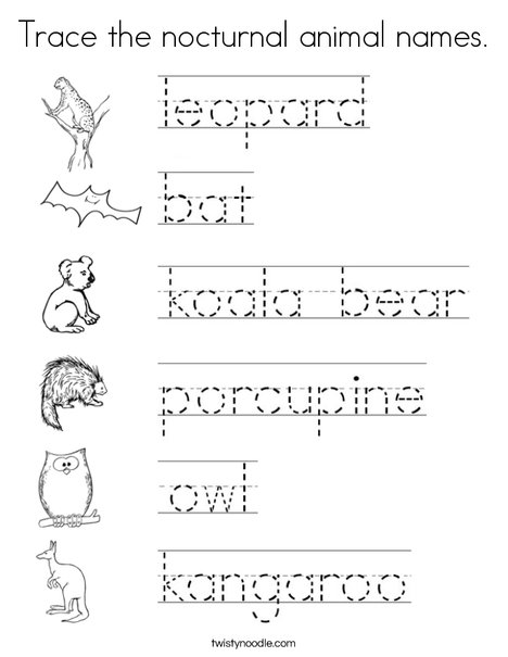 Trace the nocturnal animal names coloring page