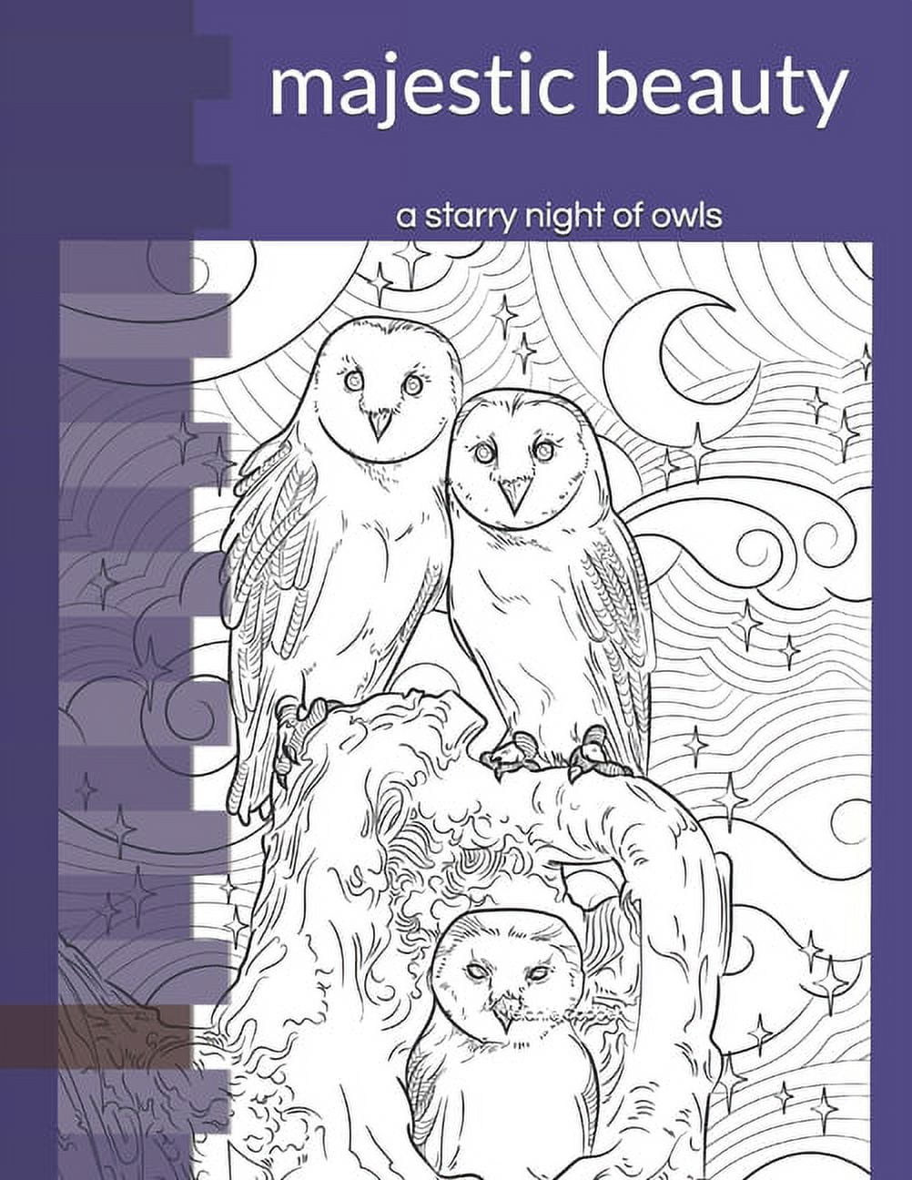 A nocturnal coloring books a starry night of owls paperback