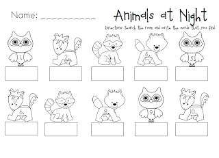 Nocturnal animals write the room activity nocturnal animals nocturnal animals kindergarten nocturnal animals activities