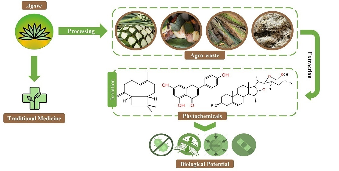 Molecules free full