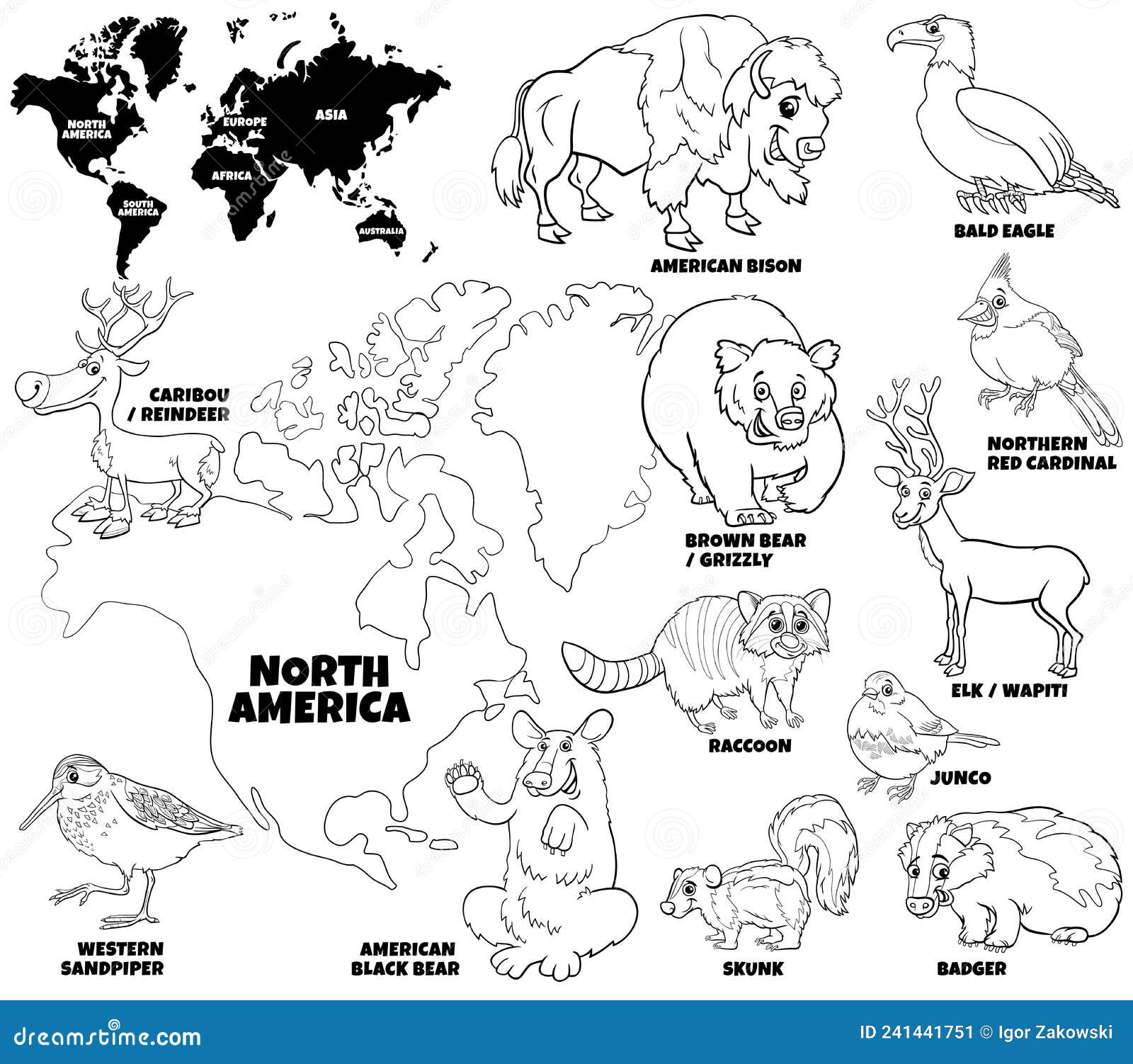 North america coloring page stock illustrations â north america coloring page stock illustrations vectors clipart