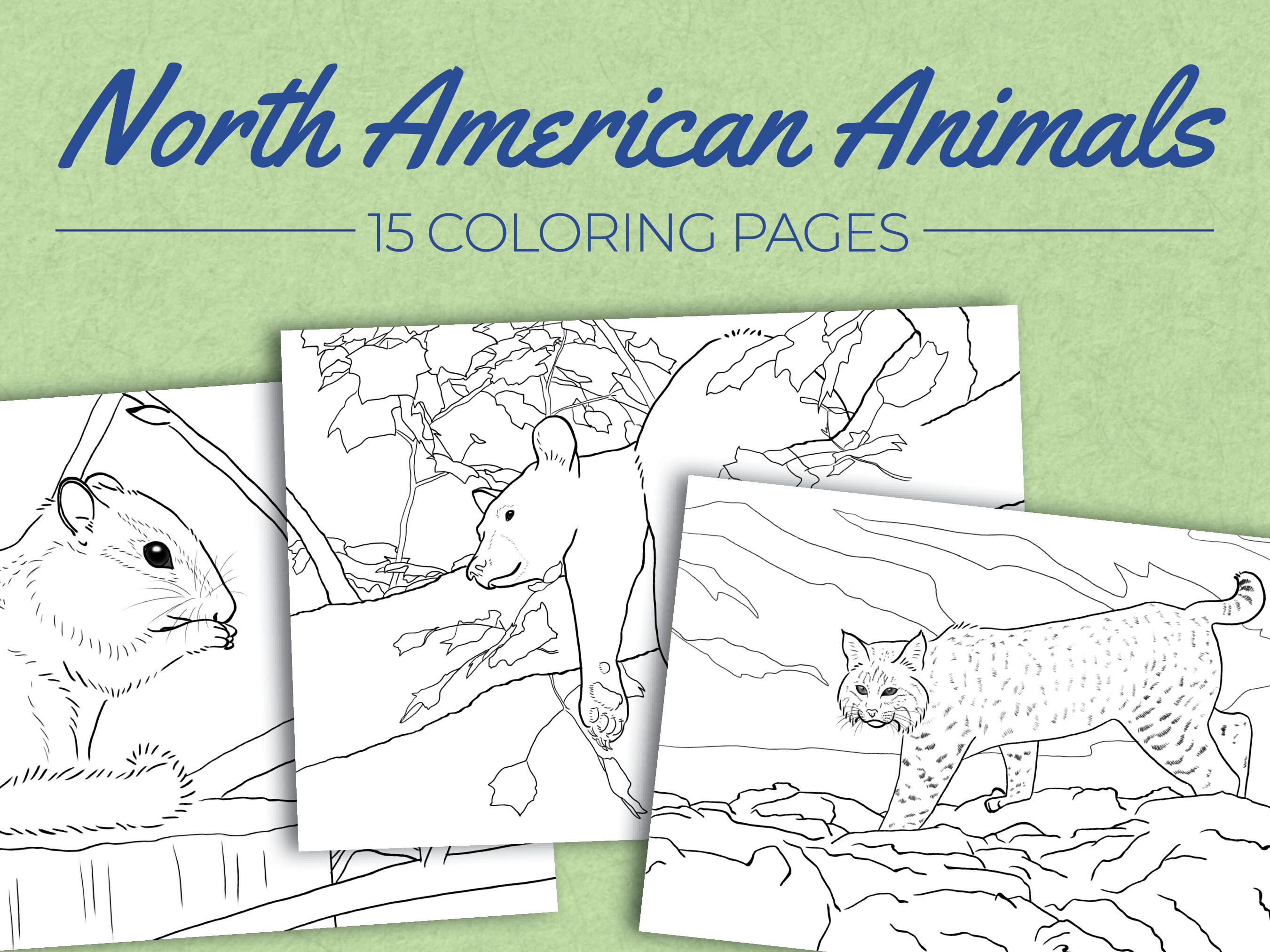 North american animal coloring pages pictures to download and print coloring book for children and adults