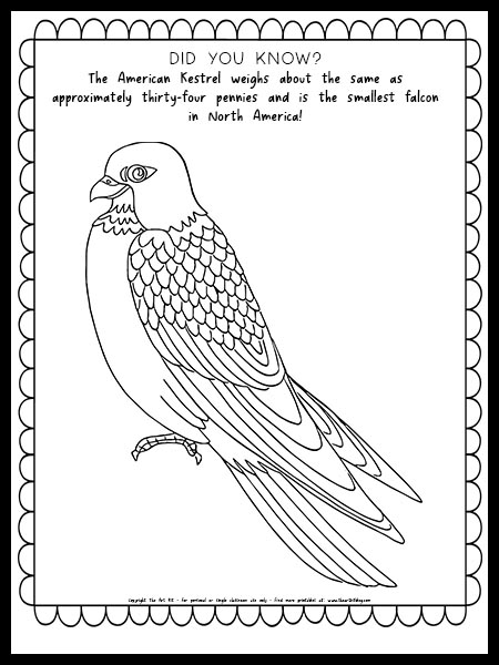 Kestrel coloring page with fun fact free printable â the art kit