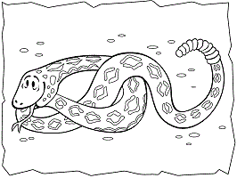 Desert animals of north america coloring pages and printable activities