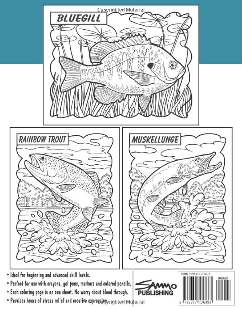 Freshwater fish of north america coloring book for kids teens adults over fish for your fisherman to color morrison sam books