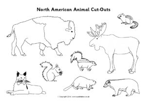 North america printables for primary school