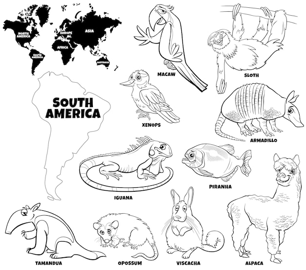 Premium vector cartoon south american animal species set and world map with continents shapes coloring book page