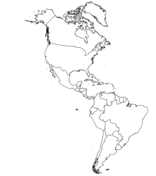 North american countries maps coloring pages free coloring pages