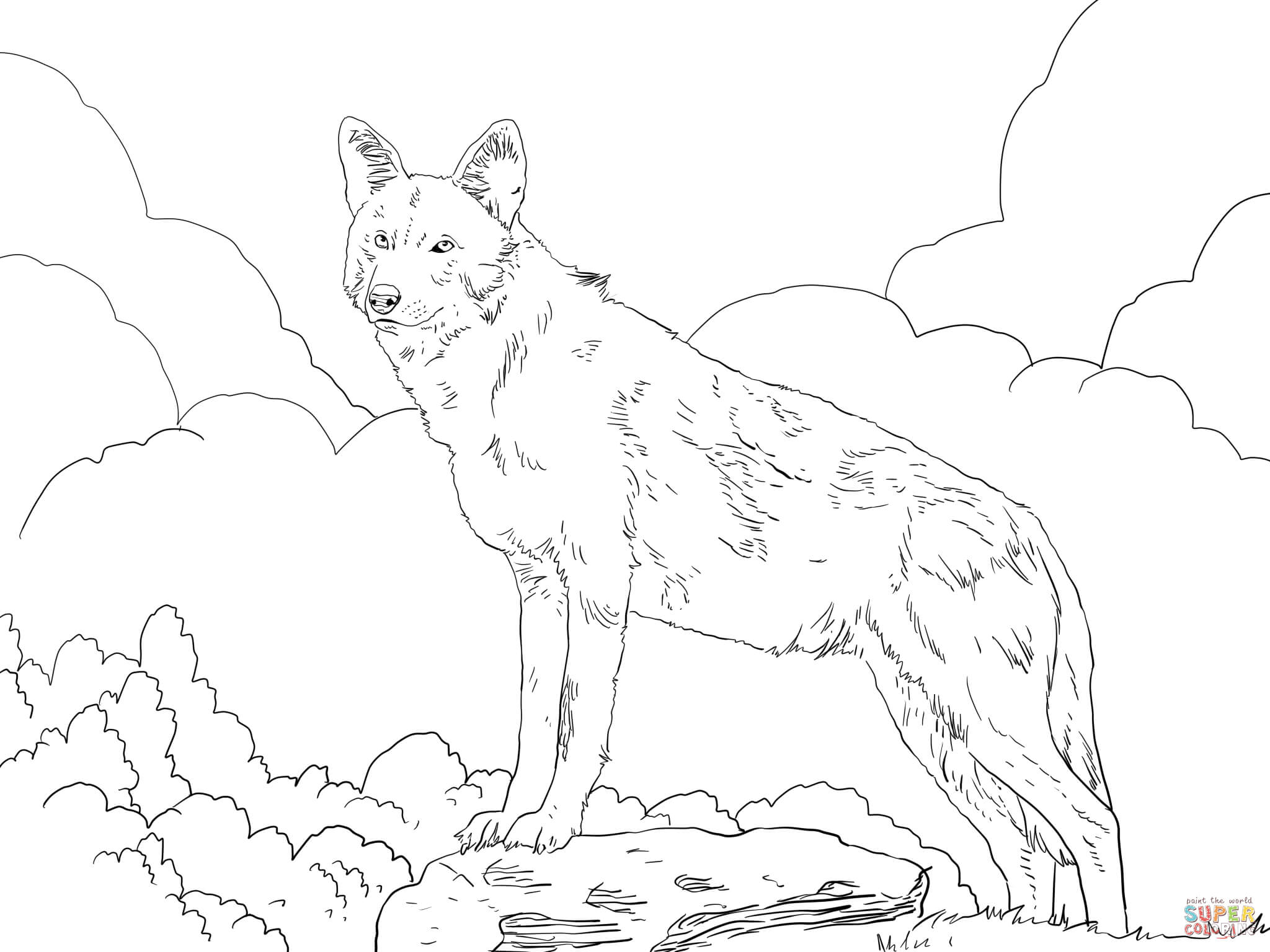 North american red wolf coloring page free printable coloring pages