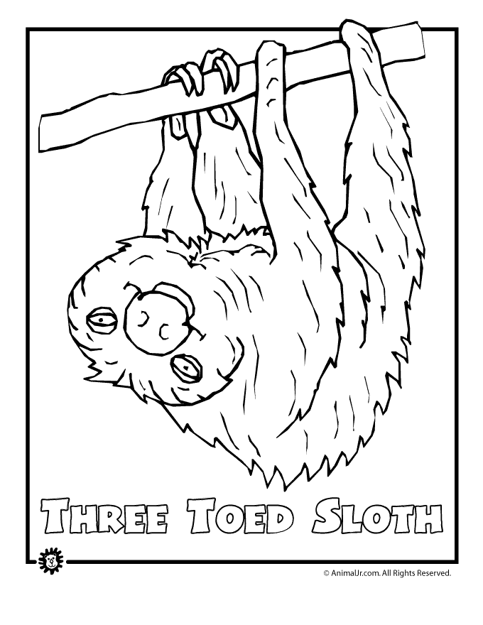 Endangered animals coloring pages animals from north america the rainforest the ocean woo jr kids activities childrens publishing