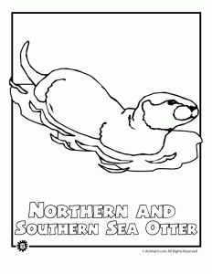 Endangered animals coloring pages animals from north america the rainforest the ocean woo jr kids activities childrens publishing