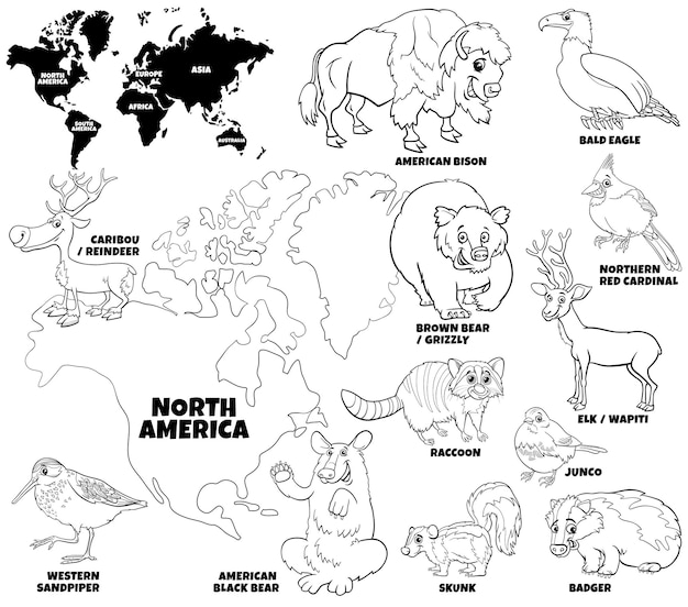 Premium vector cartoon north american animals set coloring book page