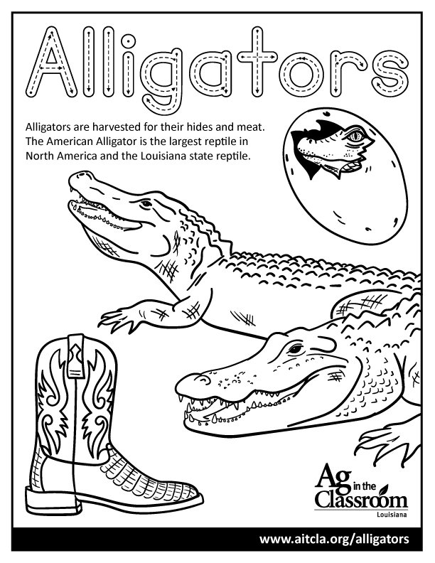 Commodity coloring â louisiana ag in the classroom